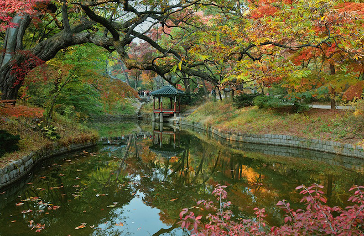 Cung điện Changdeokgung ở Seoul: Là nơi ở của một số vị vua quyền lực và hoàng thất&nbsp;trong suốt lịch sử, đây là một trong những cung điện được bảo tồn tốt nhất ở Hàn Quốc tới thời điểm này.
