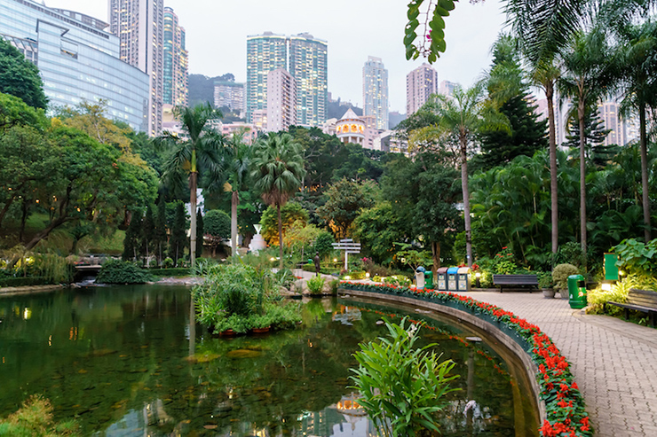 Công viên Hongkong: Ẩn mình giữa những tòa nhà chọc trời cao chót vót, khu vườn kiểng và vườn đá của công viên&nbsp;có 2 hồ nước xinh xắn ở trung tâm. Nhiều người dân địa phương đến đây để tập thái cực quyền hoặc thư giãn giữa cây xanh.
