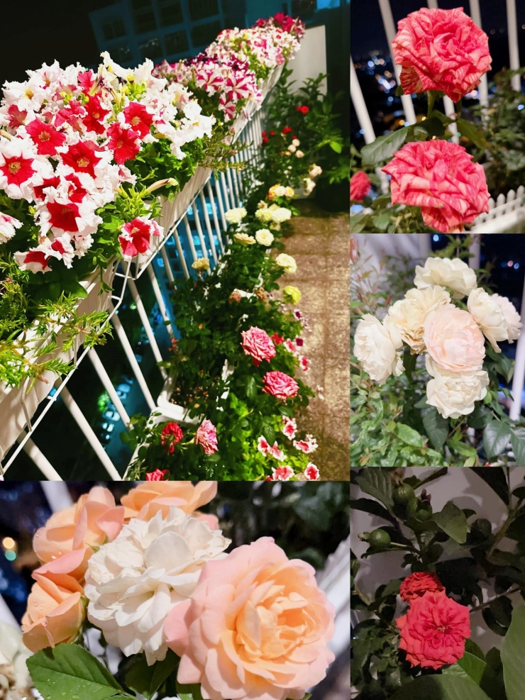 Tậu biệt thự 12 phòng ngủ tặng mẹ, Nguyên Vũ giàu có “khủng” thế nào? - 13