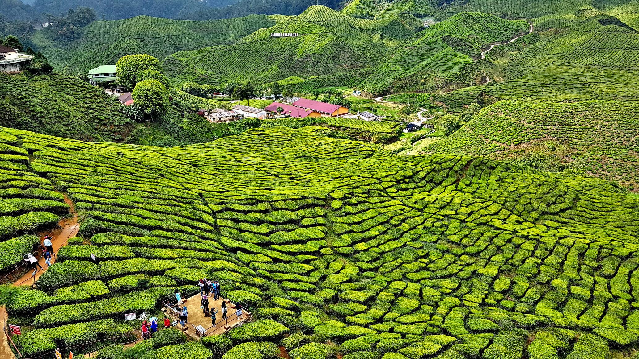 Những địa điểm du lịch không phải ai cũng biết ở Đông Nam Á, cực thích hợp để “đi trốn” hè này - 10