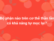 Giáo dục - du học - Nắm hết kiến thức cổ kim đông tây mới trả lời được hết bộ câu hỏi hóc búa này