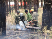 Tin tức trong ngày - Điều tra nguyên nhân vụ cháy rừng thông trên đèo Prenn