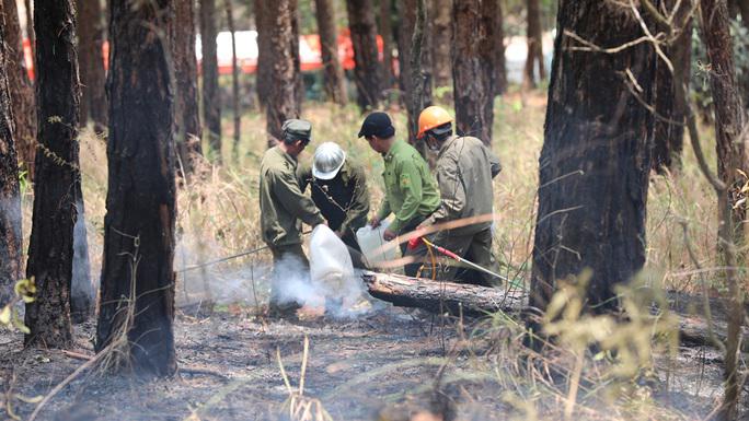 Điều tra nguyên nhân vụ cháy rừng thông trên đèo Prenn - 2