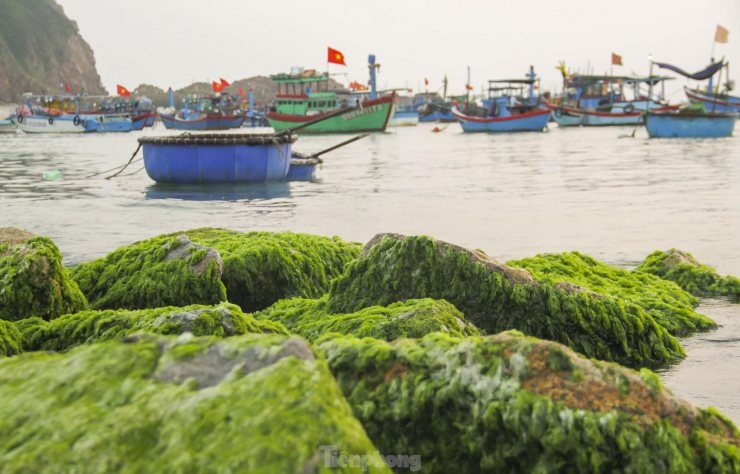 Vẻ đẹp làng chài Nhơn Hải. Ảnh: Trương Định