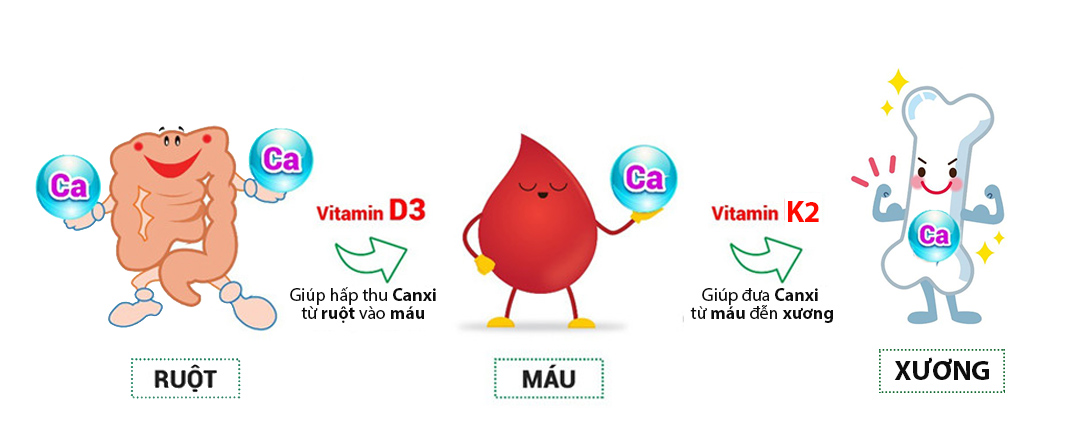 Cách chọn vitamin D3K2 chất lượng giúp trẻ “bứt phá” chiều cao - 1