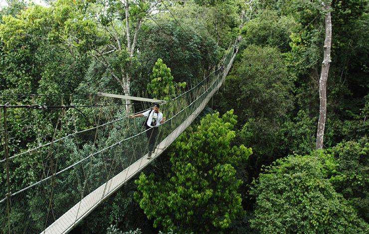 Taman Negara là một công viên quốc gia nằm ở dãy núi Titiwangsa của Malaysia. Đây là một trong những nơi tốt nhất để đến thăm ở Đông Nam Á dành cho khách du lịch sinh thái và du khách muốn đến gần với một khu rừng nhiệt đới.
