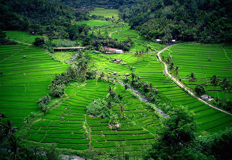 Bali xứng đáng với danh tiếng là thiên đường nhiệt đới tại&nbsp;Indonesia. Vùng biển xung quanh Bali được biết đến với sự đa dạng sinh học cao và các rạn san hô, trong khi những ruộng bậc thang tươi tốt tạo nên khung cảnh đẹp như tranh vẽ.
