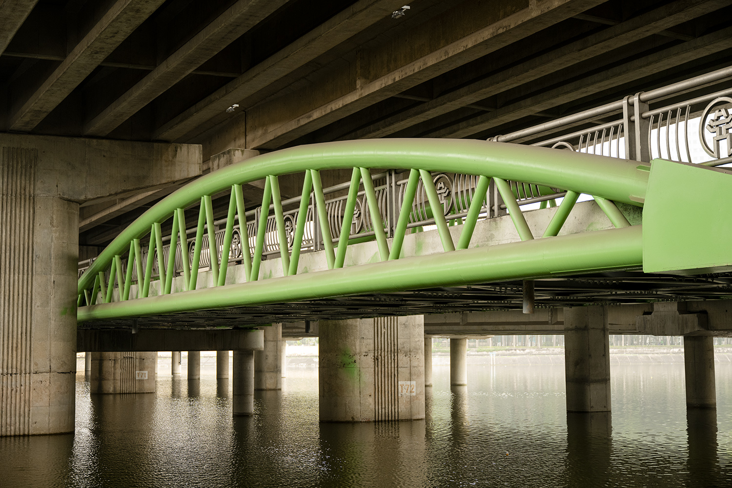 Hình ảnh không ngờ ở cây cầu có kiến trúc giống cầu cổ, giúp tài xế tránh nắng mưa - 5