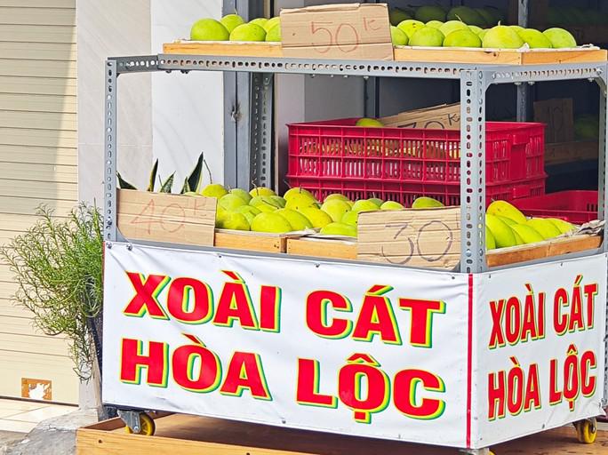 Xoài cát Hòa Lộc trồng được nhiều nơi nhưng nổi tiếng tại Đồng Tháp, Tiền Giang, TP HCM (Cần Giờ),...