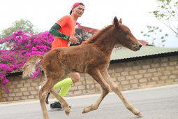 Độc lạ giải Marathon quốc gia 2023: VĐV trải nghiệm chưa từng có, nhiều runner đặc biệt