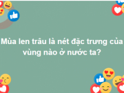 Giáo dục - du học - Cả nghìn người không thể trả lời đúng tất cả 15 câu hỏi này