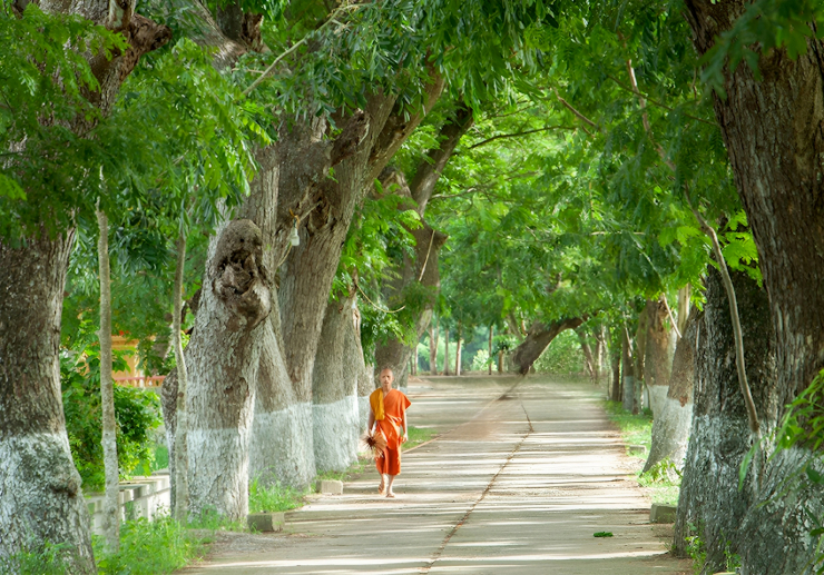 "Chùa hàng còng" - Vẻ đẹp giản dị vùng Bảy Núi An Giang - 1