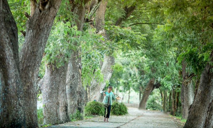 "Chùa hàng còng" - Vẻ đẹp giản dị vùng Bảy Núi An Giang - 9