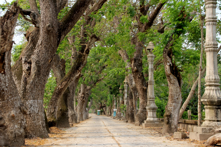 "Chùa hàng còng" - Vẻ đẹp giản dị vùng Bảy Núi An Giang - 10