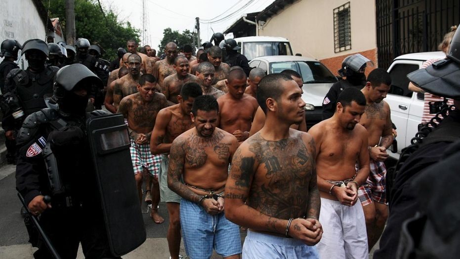 Một nhóm thành viên băng MS-13 bị bắt giữ ở El Salvador (ảnh: Reuters)