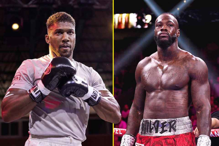 Joshua (trái) đấu Wilder cũng là màn so tài thượng đỉnh Boxing