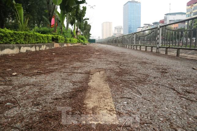 Sau 9 tháng dừng khai thác tuyến đi bộ, người dân khu vực xung quanh sông Tô Lịch vẫn vô cùng bất bình vì tình trạng vứt rác thải bừa bãi.