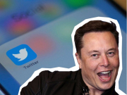 Công nghệ thông tin - Elon Musk chọc tức những người nổi tiếng từng chê bai dấu tick xanh của Twitter