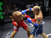 Thể thao - Đỉnh cao MMA Việt đánh 6 trận 4 knock-out, Ngọc Lượng thắng cao thủ Brazil