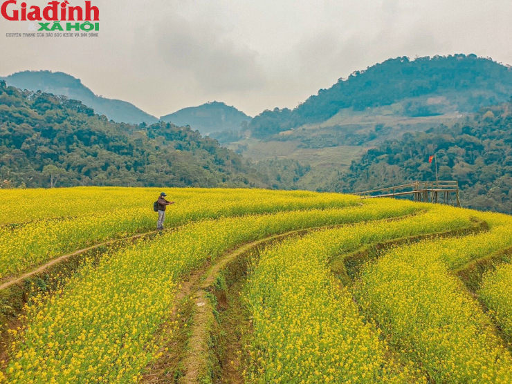 Bậc thang hoa cải tại xã Hồng Thái.