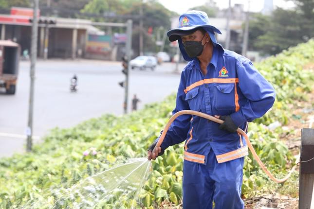 Công nhân cây xanh lao động giữa trời nắng gắt. Thời điểm nắng nóng như hiện nay, những loại cây xanh tạo cảnh quan được tưới mát với tần suất dày hơn để tránh bị mất nước, héo úa.