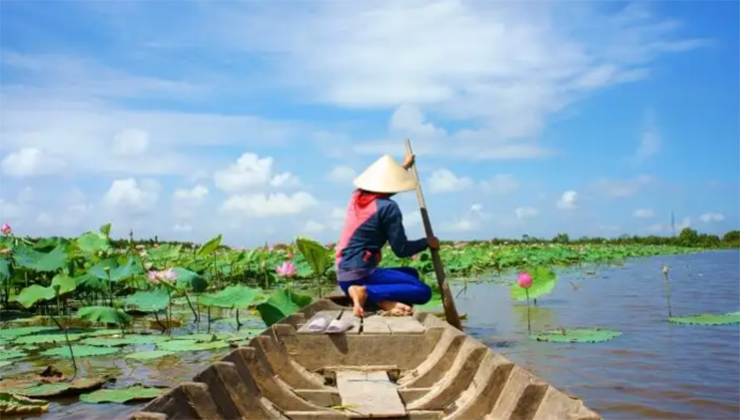 Đồng bằng sông Cửu Long có ý nghĩa địa lý không chỉ bởi đặc điểm châu thổ mà còn bởi sự phong phú về canh tác lúa hai bên bờ. Điểm mê hoặc nhất của địa điểm du lịch nổi tiếng này là những ngôi nhà thuyền và chợ nổi trên sông cùng&nbsp;kênh rạch cắt ngang đất liền.
