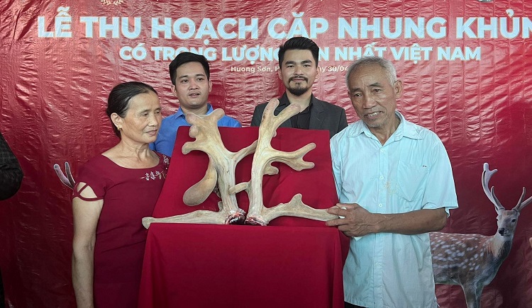 Cặp nhung hươu nặng 4,76kg được thu hoạch năm 2022&nbsp;được cho là cặp nhung có trọng lượng lớn nhất từ trước đến nay.