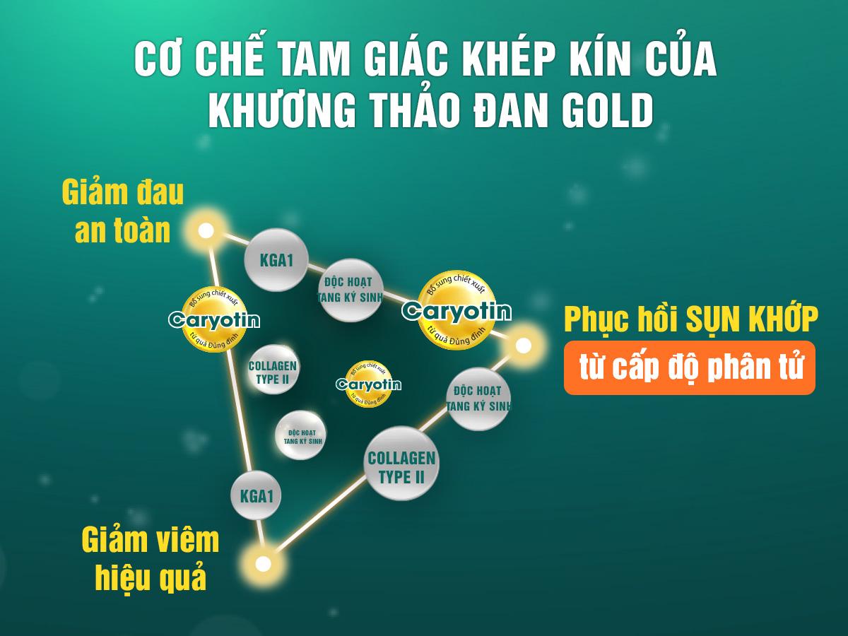 Khương Thảo Đan Gold - Giải pháp "vàng" cho bệnh khớp vinh danh tại Thương hiệu dẫn đầu Việt Nam 2023 - 6