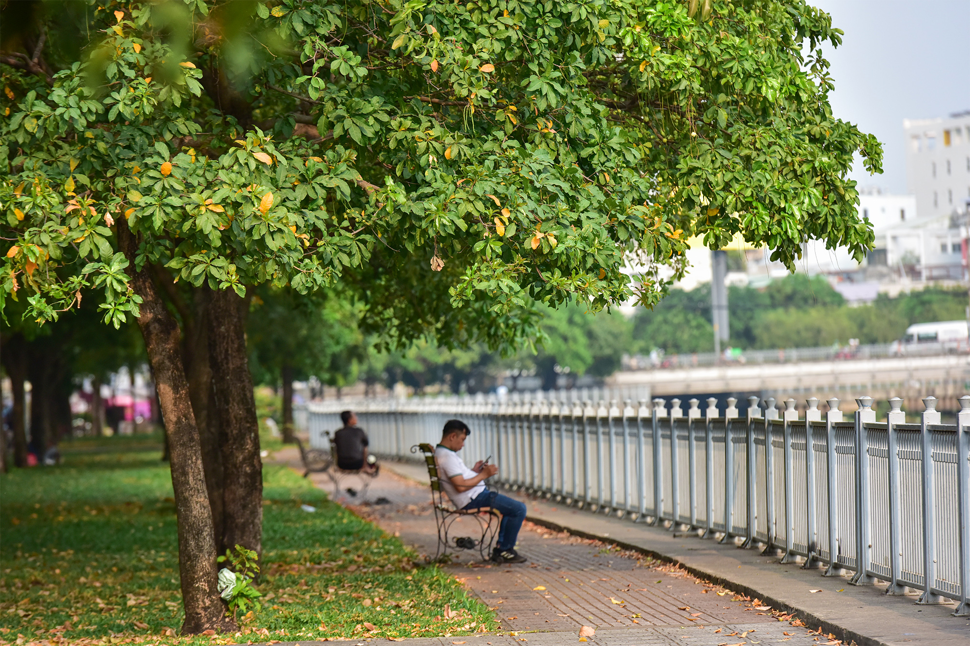 Cảnh quan, các loại cây xanh được trồng hai bờ kênh, hai tuyến đường song song tạo nên những không gian đẹp, trong lành, xanh mát làm thay đổi diện mạo đô thị nhiều khu vực.