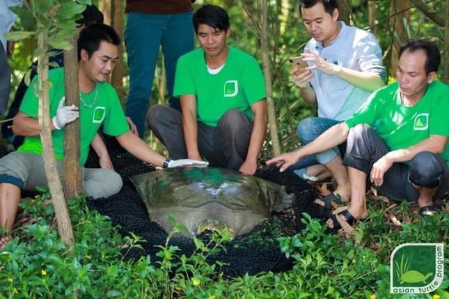 Cá thể rùa Hoàn Kiếm ở hồ Đồng Mô được bẫy bắt thành công năm 2020, 13 năm sau khi được phát hiện. Tuy nhiên, cá thể này được ghi nhận chết vào ngày 23/4.