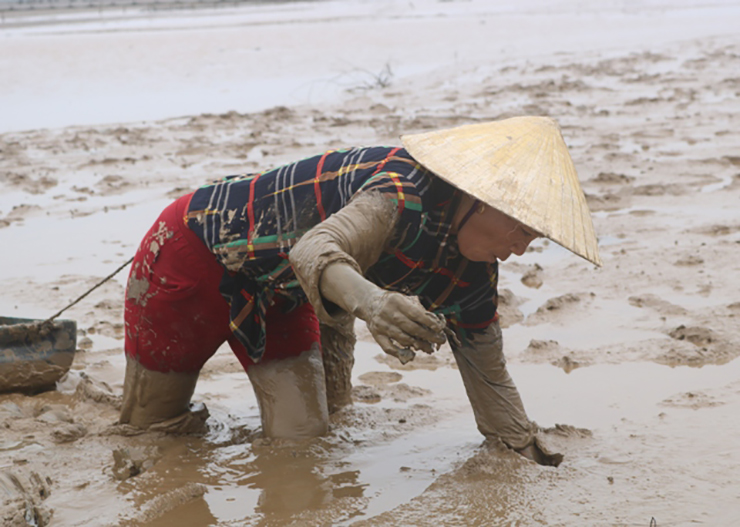 Mùa khều thường bắt đầu từ tháng Giêng đến tháng Chín âm lịch.&nbsp;
