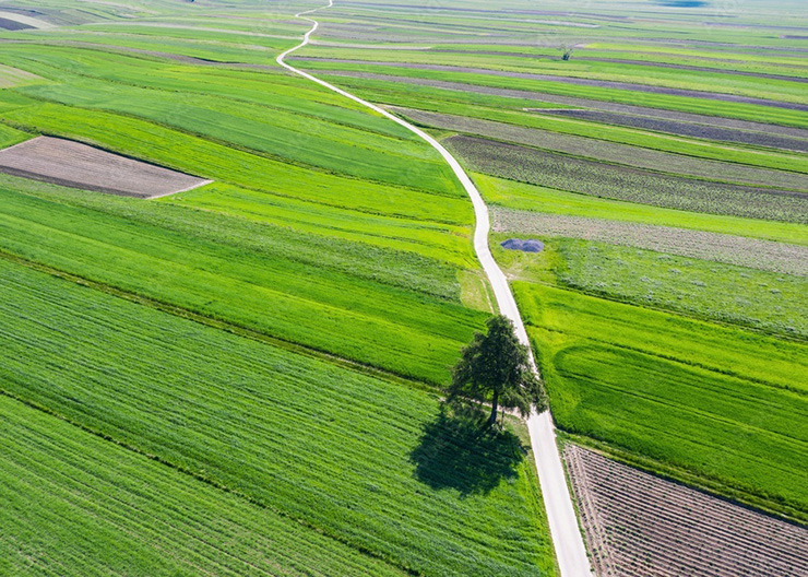 Một số người đã so sánh làng Sułoszowa với Tuscany của Italia.
