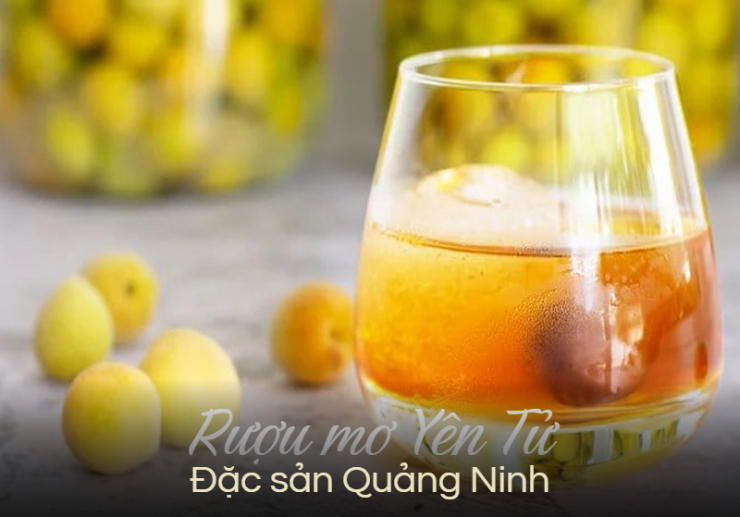 Yên Tử Quảng Ninh không chỉ nổi tiếng với ngôi chùa linh thiêng mà còn nổi tiếng với rượu mơ.