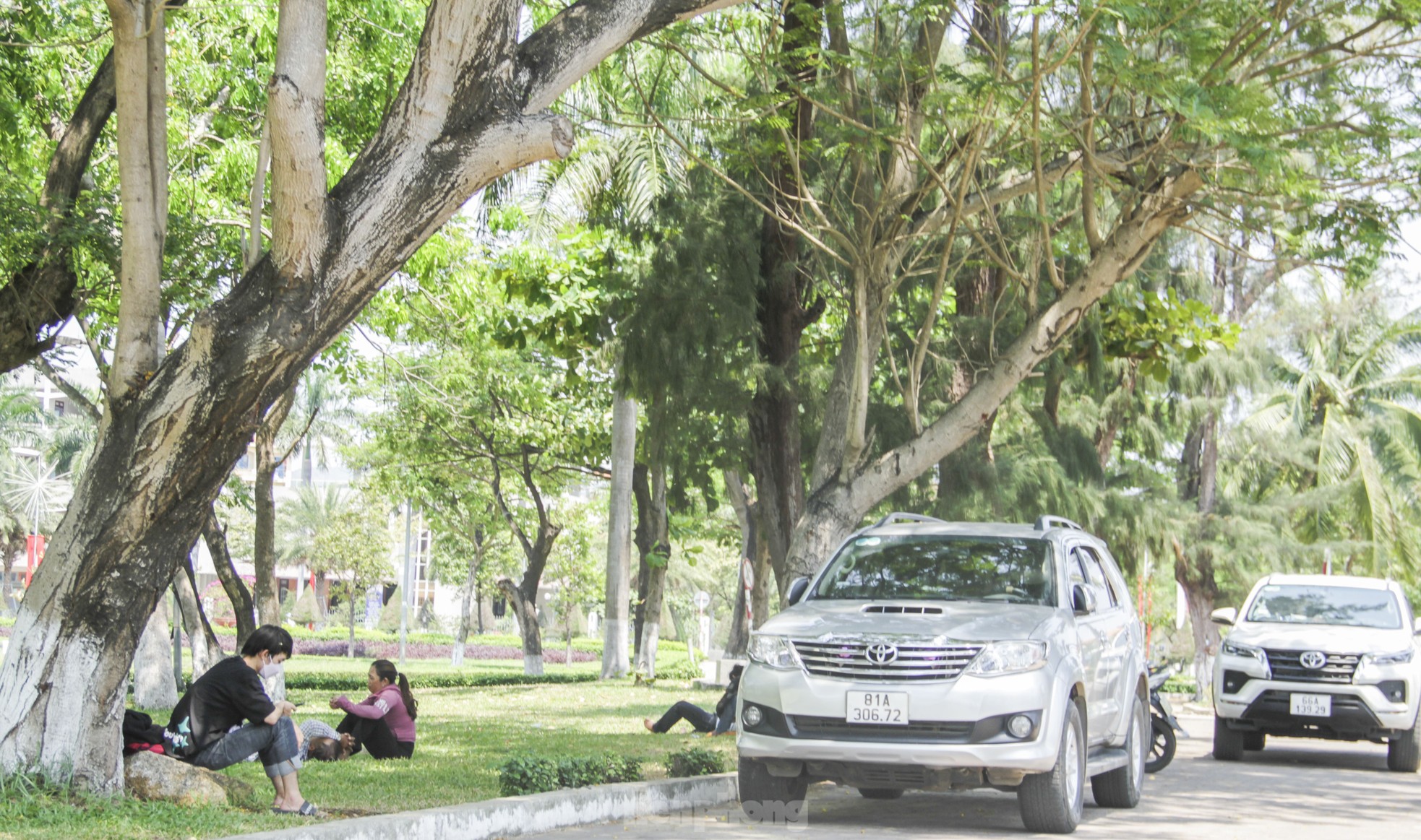 Người dân tìm đến những gốc cây có bóng mát để tránh nắng, nghỉ ngơi. Ảnh: Trương Định