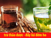 Sức khỏe đời sống - Mách bạn 5 loại trà thảo dược vừa giải nhiệt mùa hè vừa tốt cho người ho đờm lâu năm 