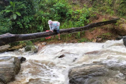 Cô giáo sợ hãi kể lại giây phút bám thân cây, đu qua dòng suối chảy xiết để đến trường