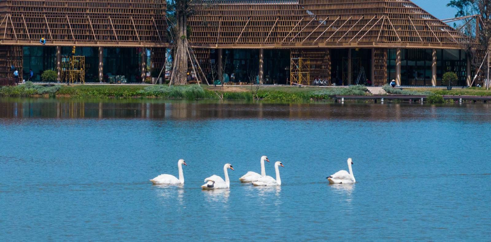 Đại đô thị Eco Central Park chính thức khai trương công viên hồ Thiên Nga - 6