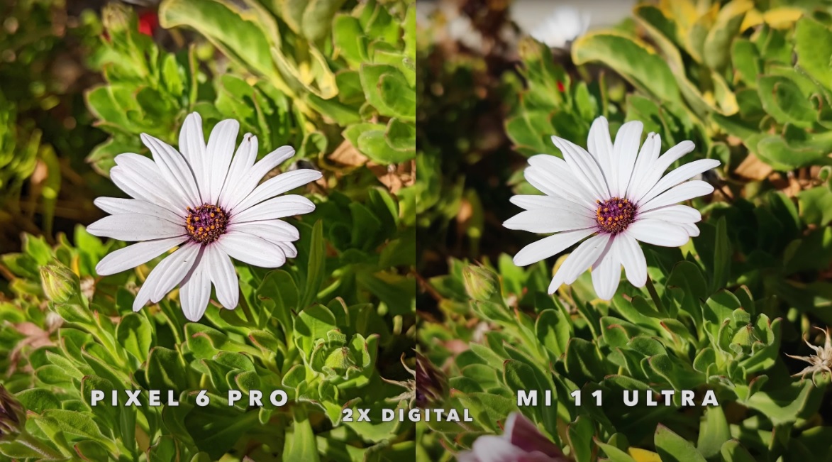 Pixel 8 Pro sẽ "lội ngược dòng" với cảm biến 1 inch? - 3