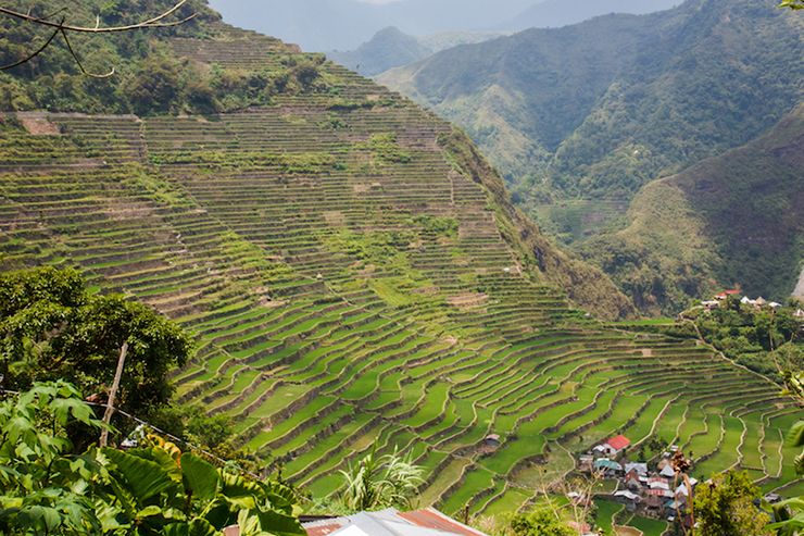 Luzon (109.965 km2): Là trung tâm kinh tế và chính trị, Luzon là hòn đảo đông dân nhất ở Philippines và là một trong những hòn đảo đông dân nhất trên thế giới,&nbsp;nơi sinh sống của hơn một nửa dân số Philippines. Thủ đô Manila, cũng như thành phố Quezon đều nằm trên đảo Luzon.
