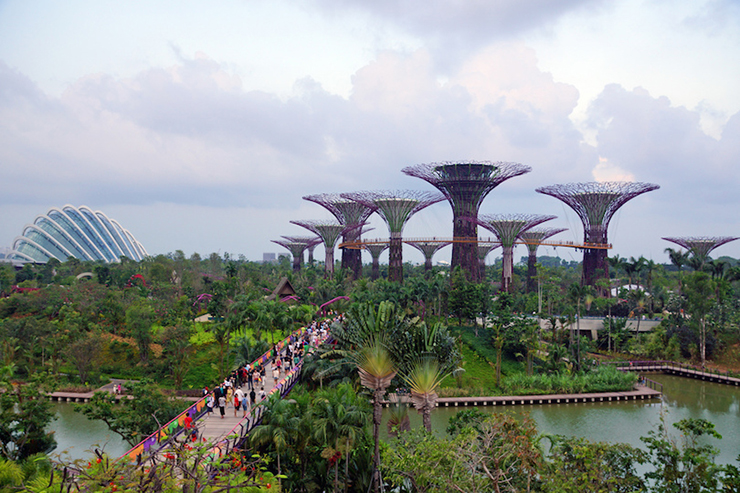 Gardens by the Bay là một điểm đến khá mới nhưng những người làm vườn sẽ không muốn bỏ lỡ khi ghé thăm. Nó bao gồm 3 khu vườn: Bay Central, Bay East, và Bay South là khu vườn lớn nhất với các kiến&nbsp;trúc dạng cây cao tới 50m vô cùng nổi bật.
