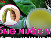 Sức khỏe đời sống - Uống nước vối có hại thận, gây yếu sinh lý như lời đồn?