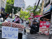 Kinh doanh - Lo phá sản, ngành chăn nuôi gia cầm kêu cứu Thủ tướng