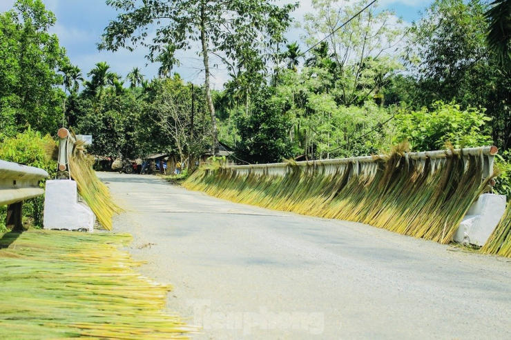 Dù nghề hái đót khá vất vả nhưng nhờ loại cây nơi non cao này, nhiều người đồng bào có thêm thu nhập, trang trải cho cuộc sống còn nhiều khó khăn.