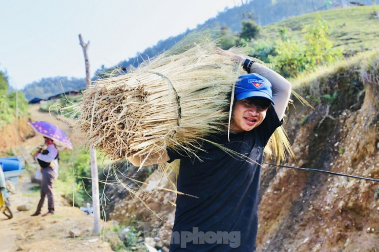 Chị Hồ Thị Non (trú xã Trà Tập, huyện Nam Trà My) cho biết, thời tiết sau Tết Nguyên đán thuận lợi, trời nắng đẹp. Từ sáng sớm, chị cùng mọi người băng rừng hơn hai giờ đồng hồ để hái đót. “Sau 5 ngày hái đót, tôi dồn lại được gần 40kg đót, bán được hơn 800.000 đồng. Dự tính mùa đót năm nay tôi kiếm được hơn 1.000.000 đồng”, chị Non nói.