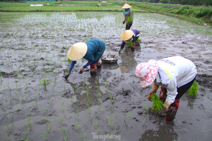 &#39;&#39;Bán mặt cho đất bán lưng cho trời&#39;&#39; kiếm nửa triệu mỗi ngày - 5