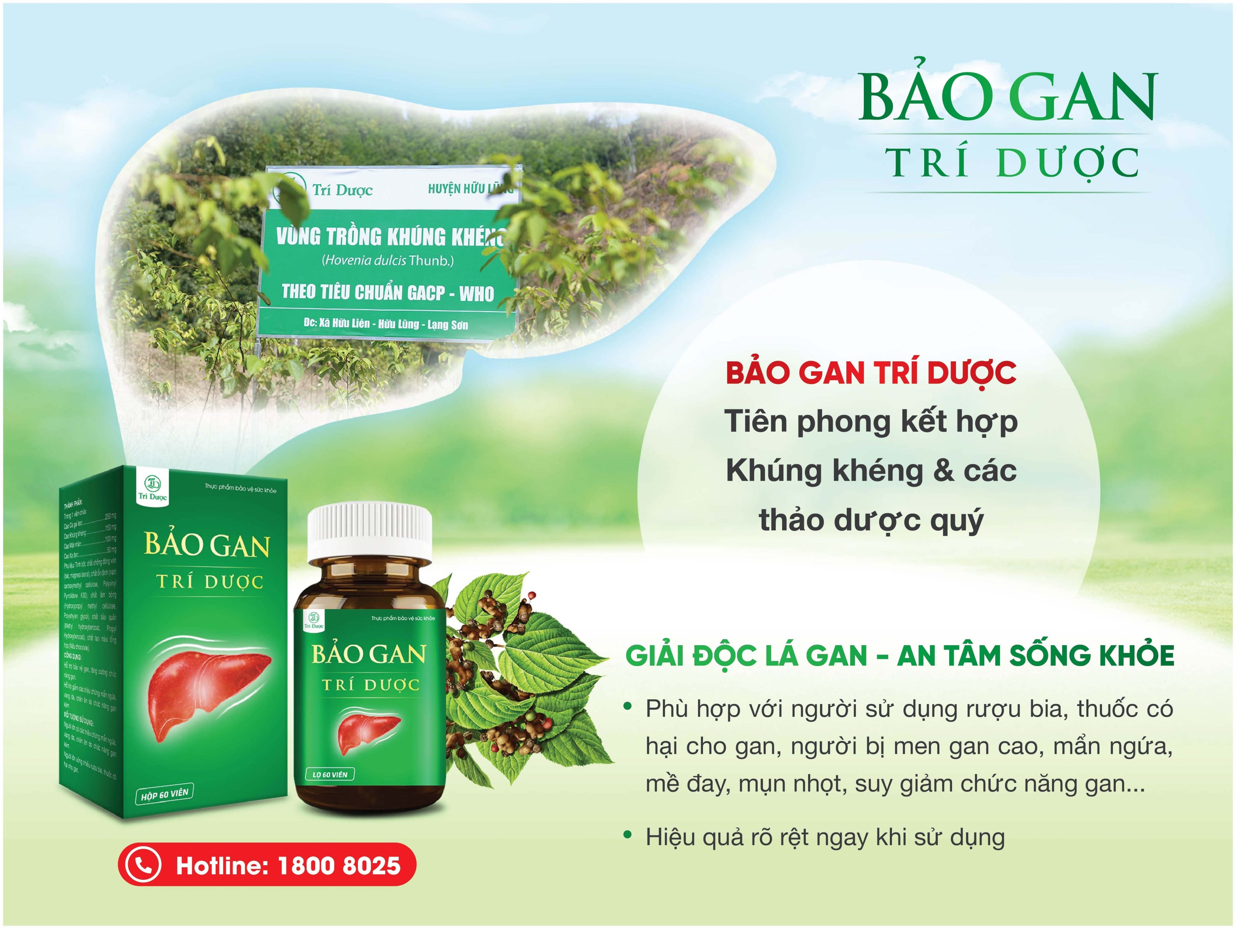 Bảo gan Trí Dược tiên phong phát triển vùng trồng khúng khéng theo tiêu chuẩn GACP - 3