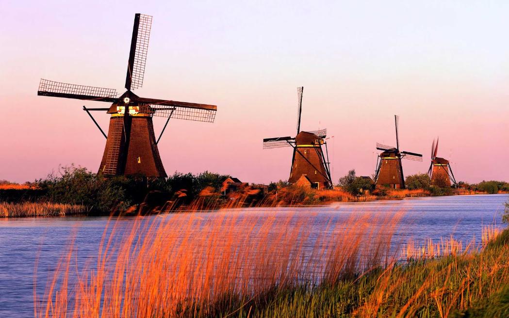 Tới thăm những cối xay gió đẹp và nổi tiếng nhất Hà Lan - 3