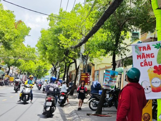 Đến lượt mãng cầu xiêm tăng giá nóng vì cơn sốt “trà mãng cầu”