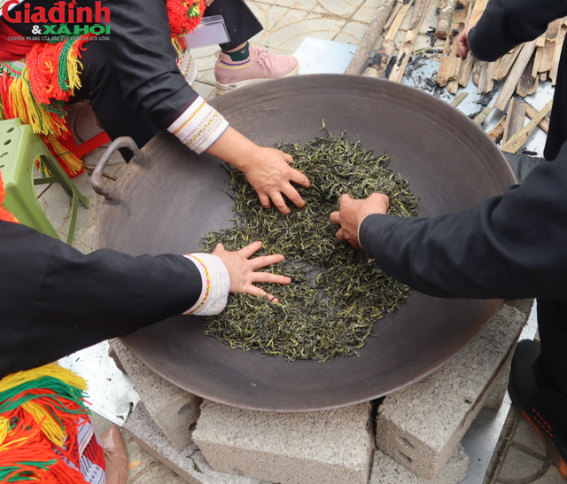 Chè Shan tuyết cổ thụ trở thành sản phẩm du lịch nổi trội của tỉnh Hà Giang.