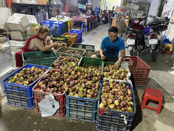 Giá măng cụt đang giảm sâu hậu "cơn sốt" món gỏi gà măng cụt xanh